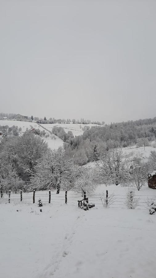 My Little Village
